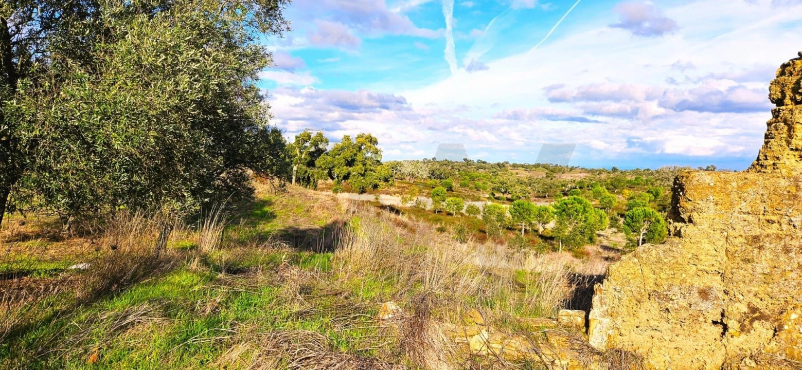 Terreno para Venda em Grândola e Santa Margarida da Serra Foto 21