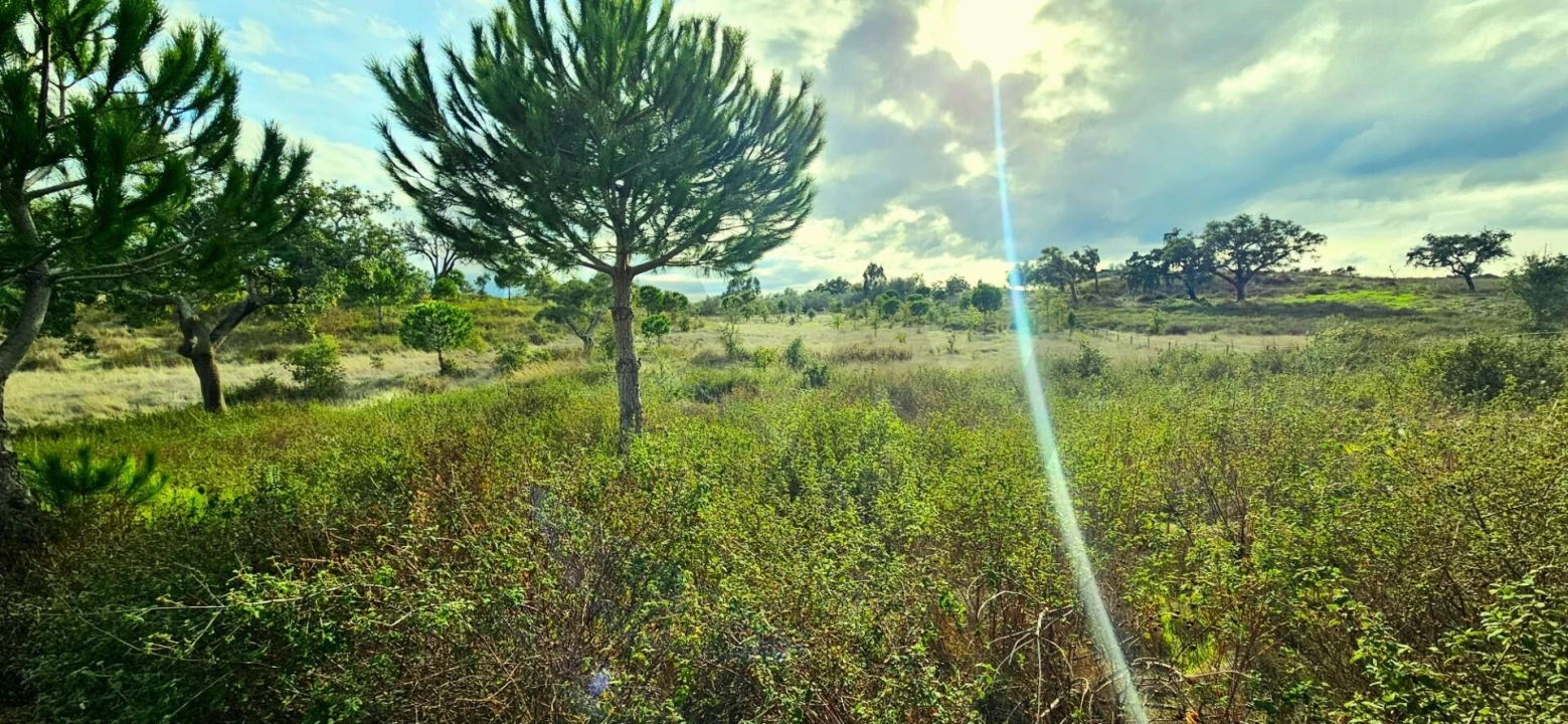 Terreno para Venda em Grândola e Santa Margarida da Serra Foto 1