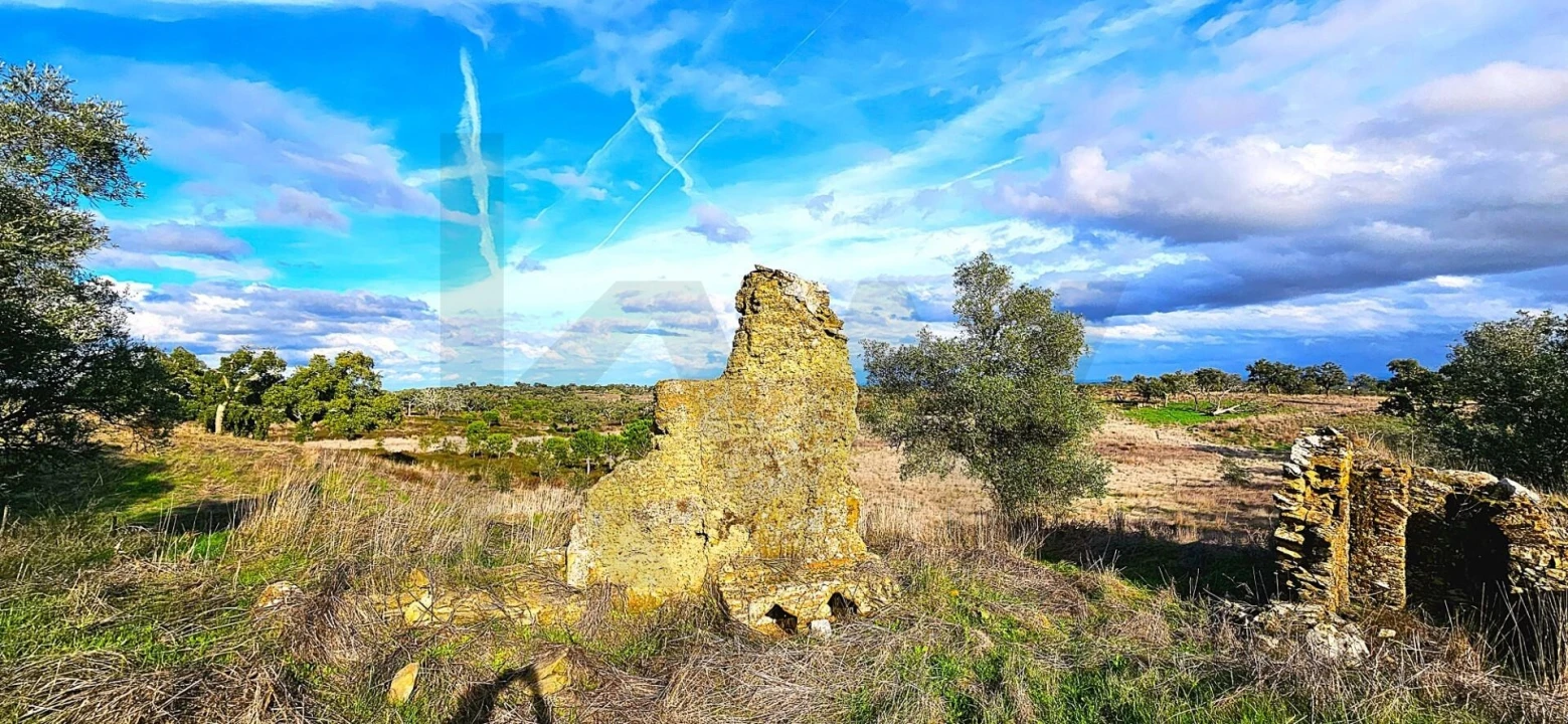 Terreno para Venda em Grândola e Santa Margarida da Serra Foto 20