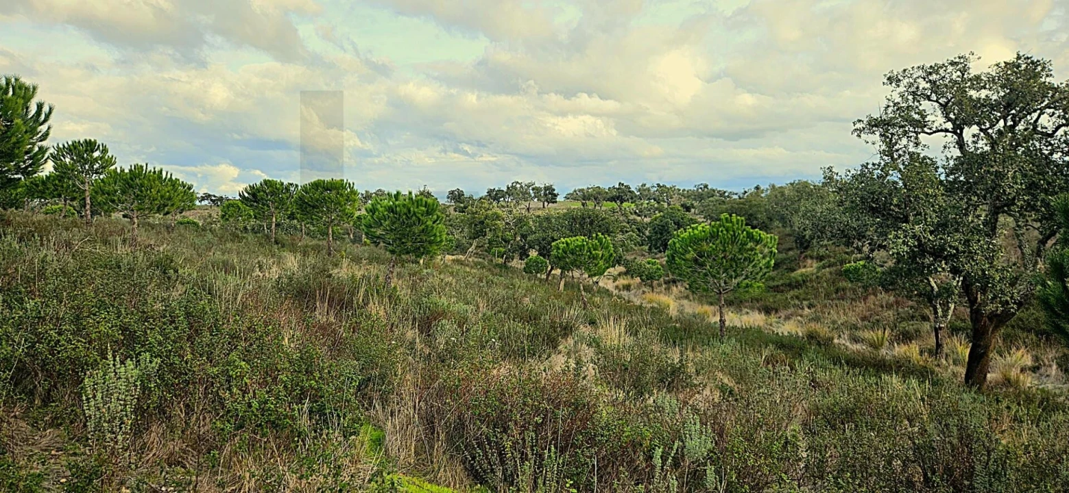 Terreno para Venda em Grândola e Santa Margarida da Serra Foto 5