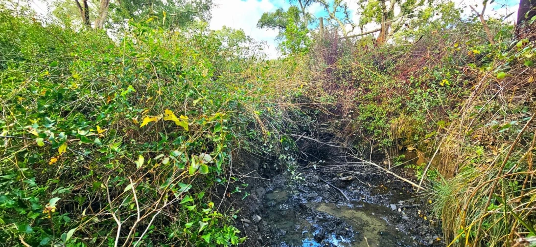 Terreno para Venda em Grândola e Santa Margarida da Serra Foto 15