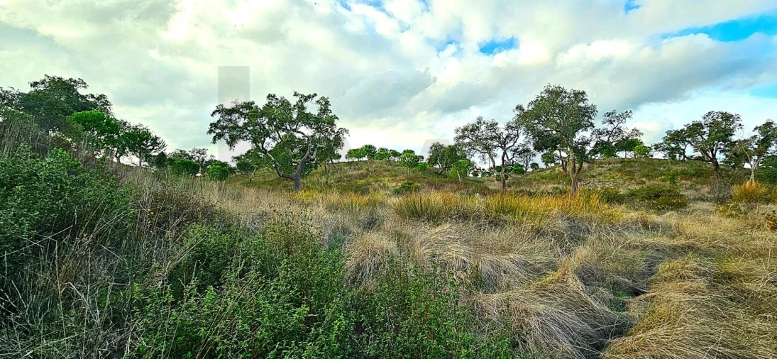 Terreno para Venda em Grândola e Santa Margarida da Serra Foto 16