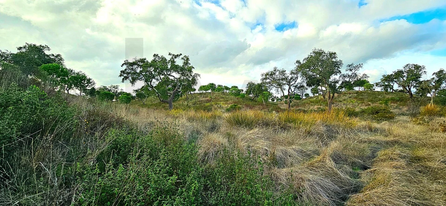 Terreno para Venda em Grândola e Santa Margarida da Serra Foto 16