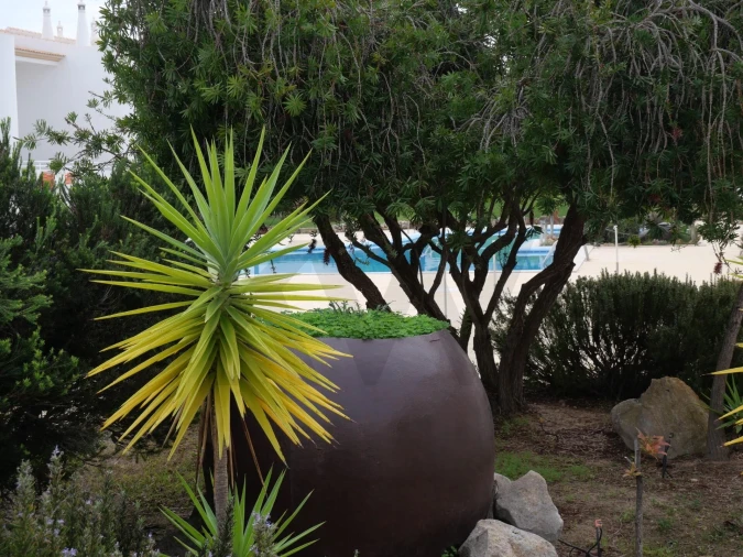 Apartamento T1 para Venda em Guia Foto 38