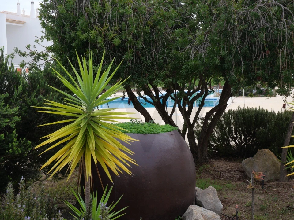 Apartamento T1 para Venda em Guia Foto 38