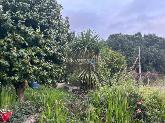 Moradia T3 para Venda em Dem Foto 4