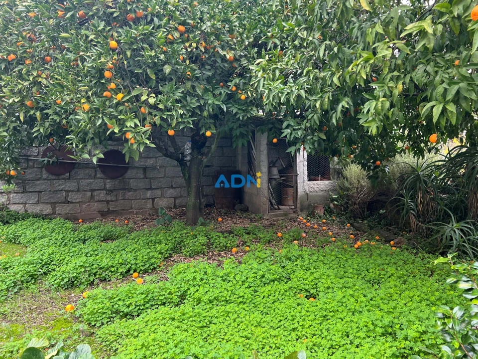 Moradia T10 para Venda em Cebolais de Cima e Retaxo Foto 48