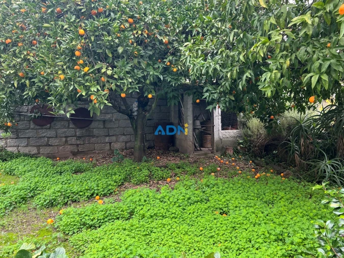 Moradia T10 para Venda em Cebolais de Cima e Retaxo Foto 48