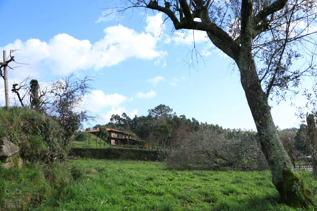 Quinta T4 para Venda em Lagares e Figueira Foto 31