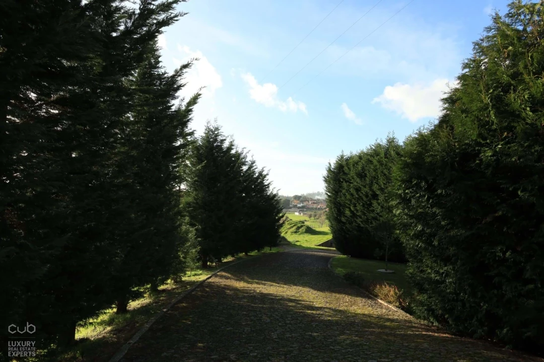 Quinta T4 para Venda em Lagares e Figueira Foto 10