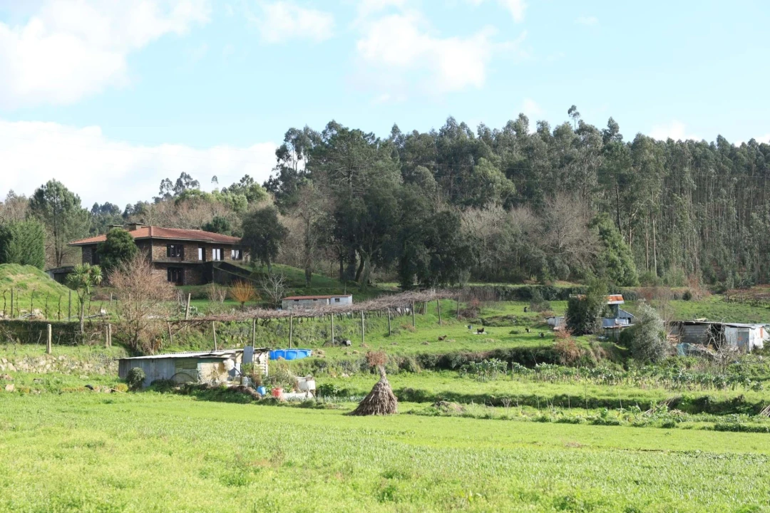 Quinta T4 para Venda em Lagares e Figueira Foto 37