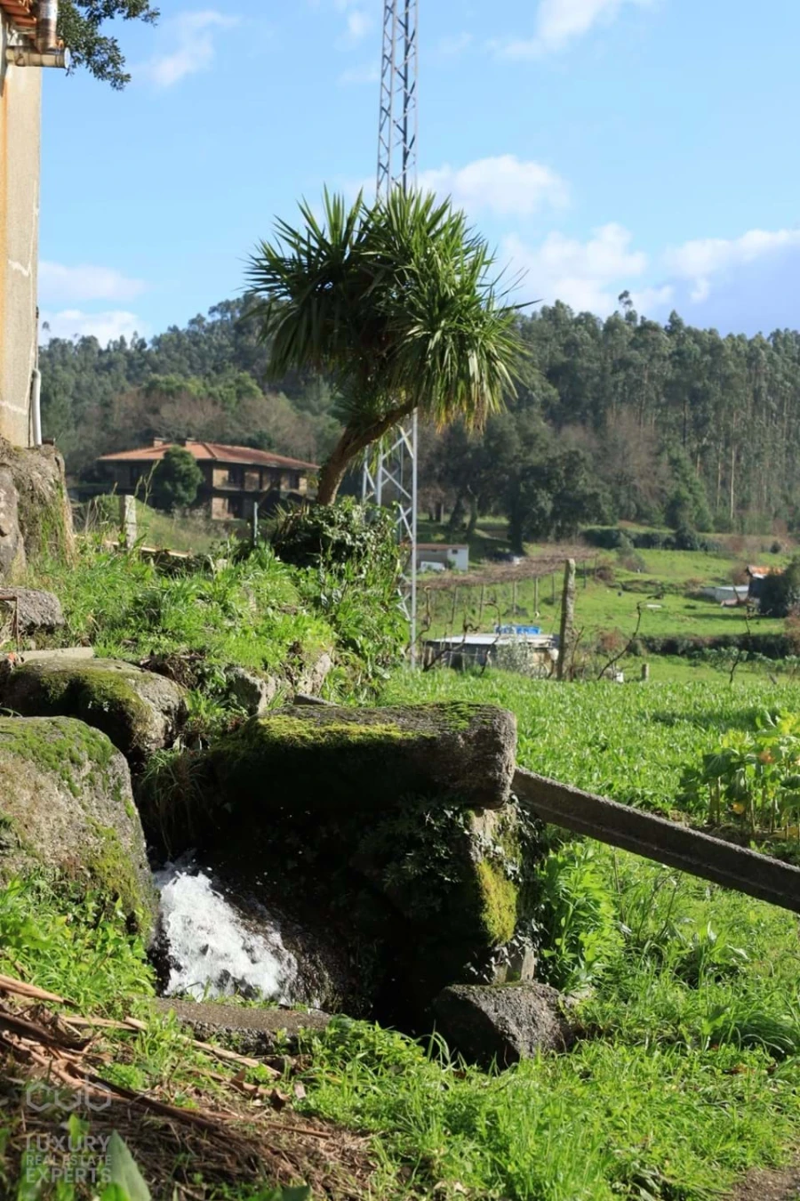 Quinta T4 para Venda em Lagares e Figueira Foto 27