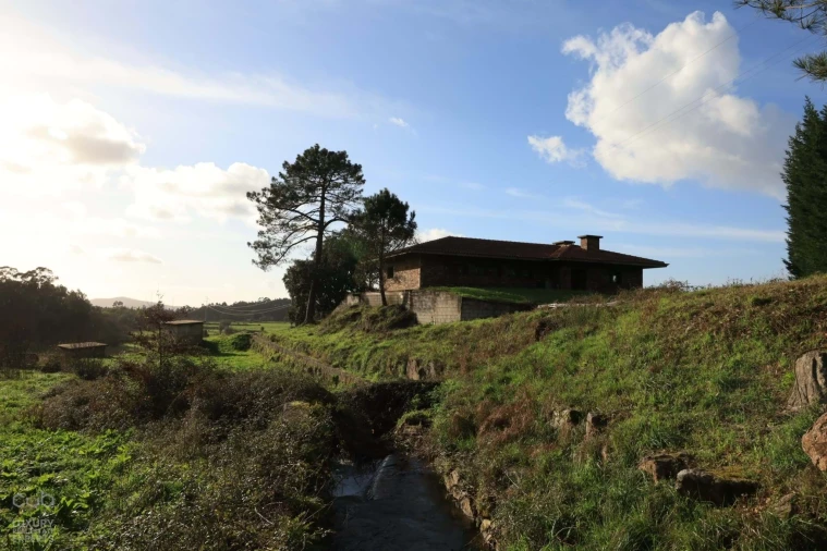 Quinta T4 para Venda em Lagares e Figueira Foto 8