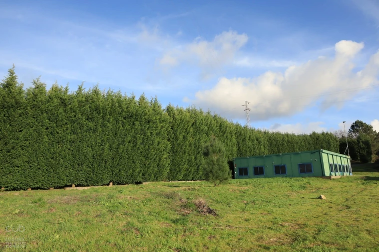 Quinta T4 para Venda em Lagares e Figueira Foto 51