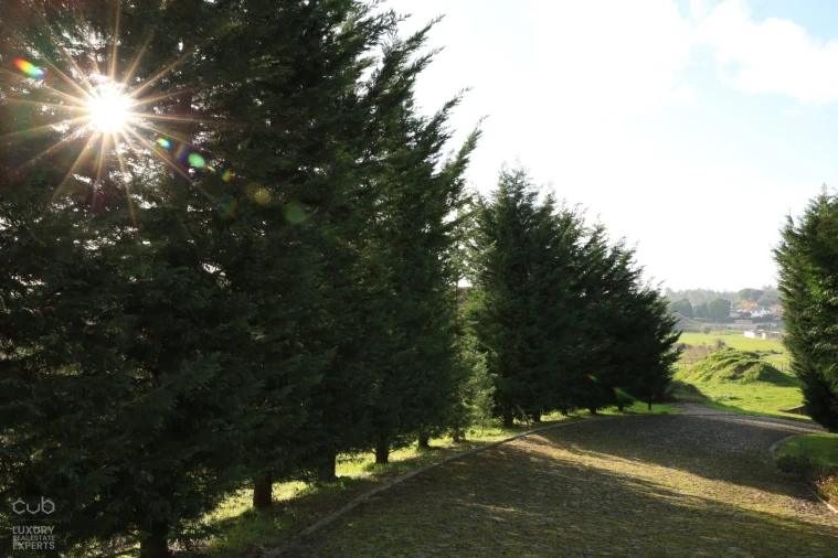 Quinta T4 para Venda em Lagares e Figueira Foto 4