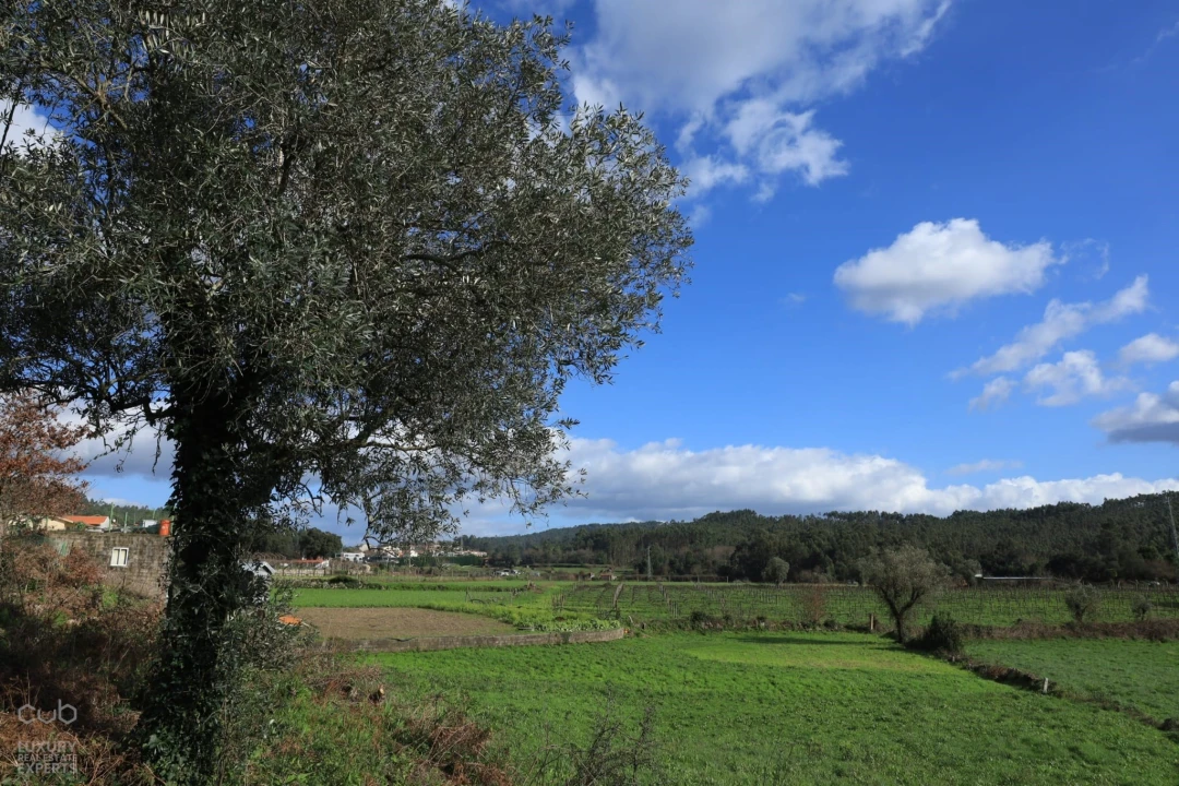 Quinta T4 para Venda em Lagares e Figueira Foto 12