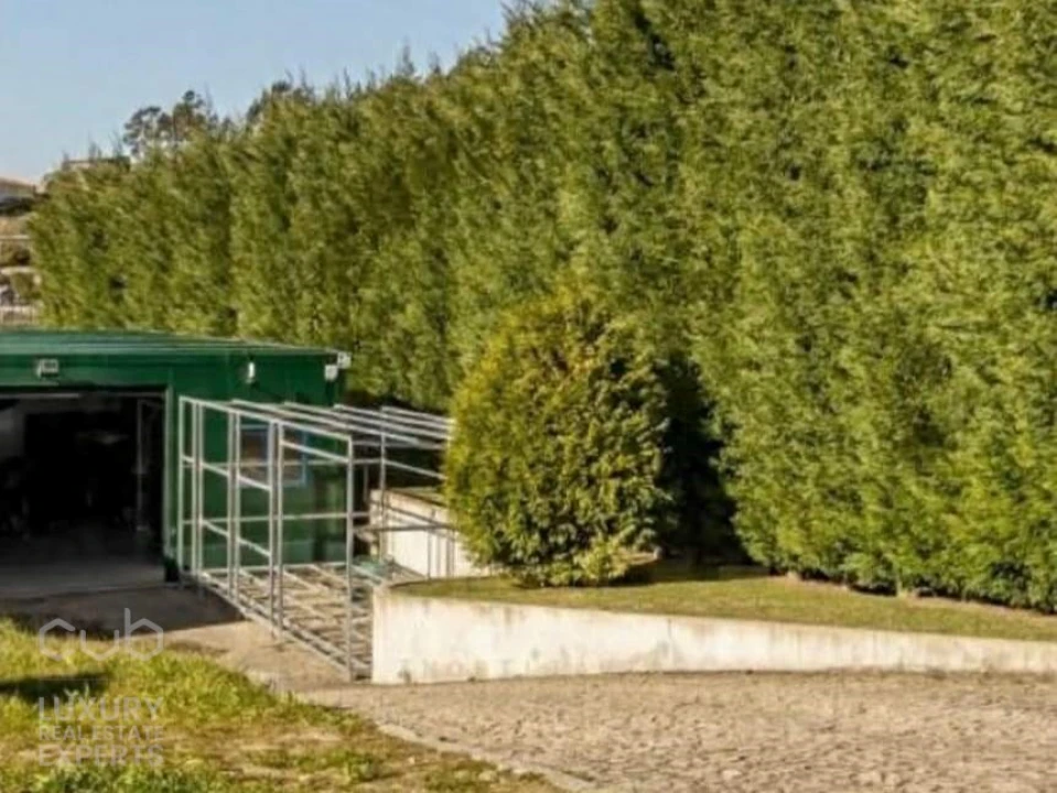 Quinta T4 para Venda em Lagares e Figueira Foto 15