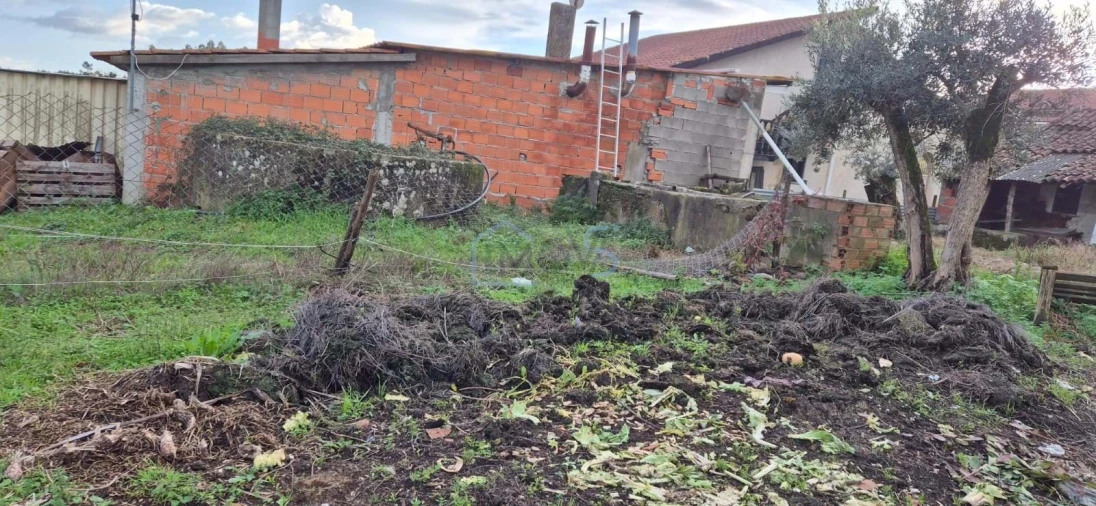 Moradia T2 para Venda em Aguas Belas Foto 28