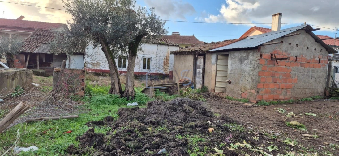 Moradia T2 para Venda em Aguas Belas Foto 26