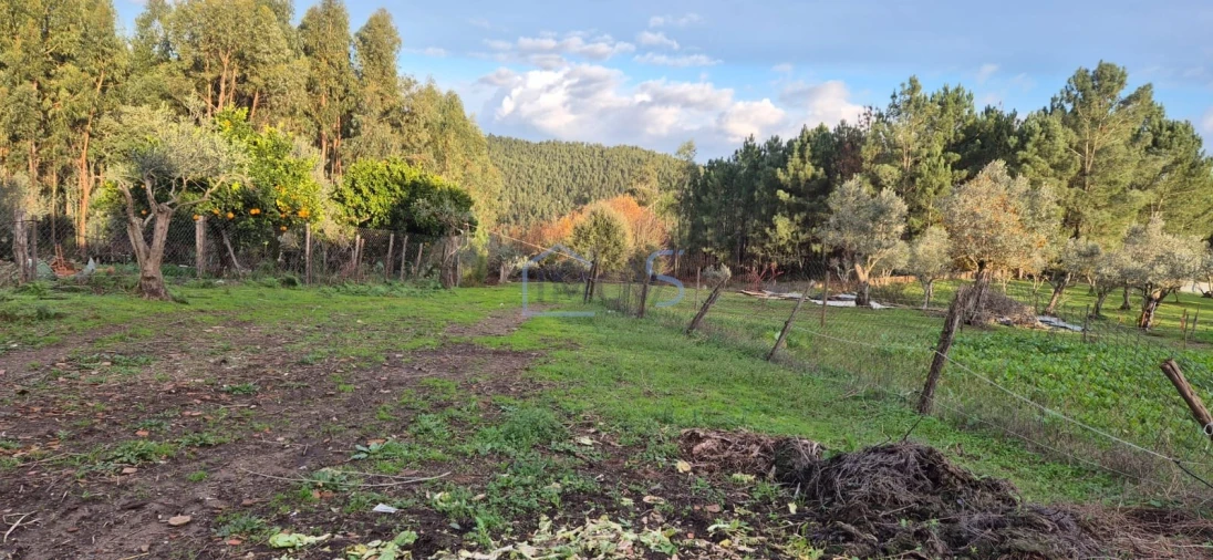 Moradia T2 para Venda em Aguas Belas Foto 3