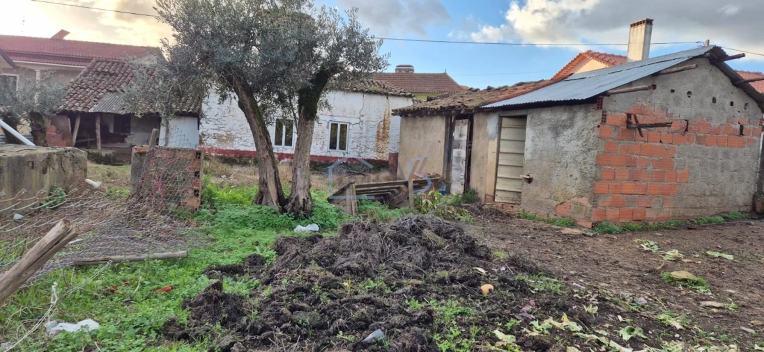 Moradia T2 para Venda em Aguas Belas Foto 4