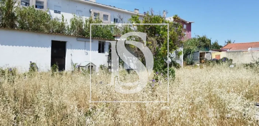 Terreno para Venda em Ajuda Foto 2
