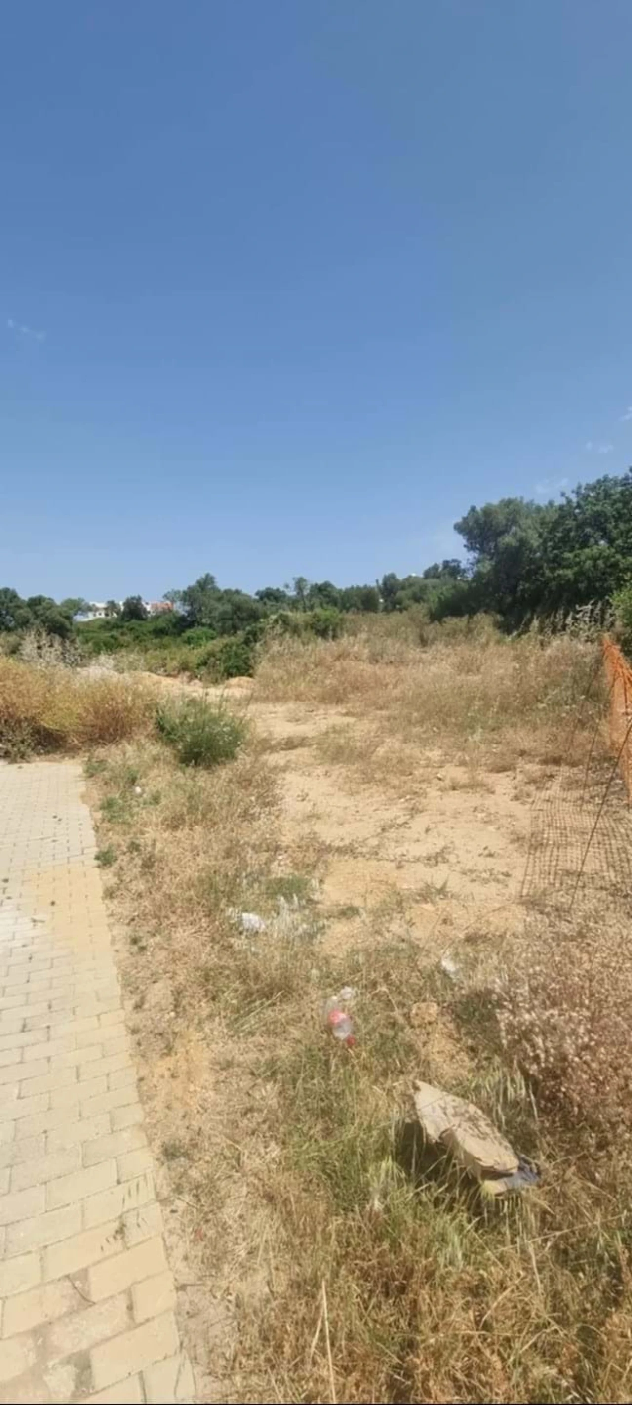 Terreno para Venda em Porches Foto 3