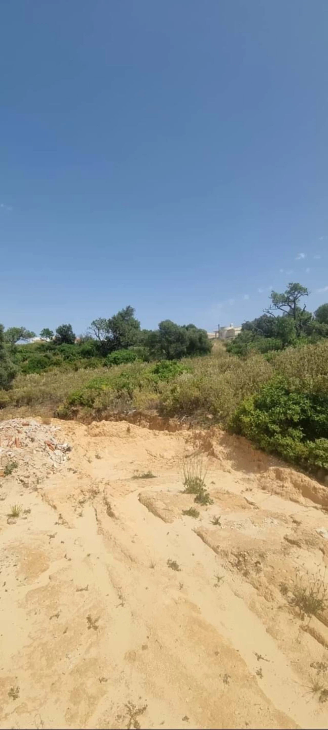 Terreno para Venda em Porches Foto 2