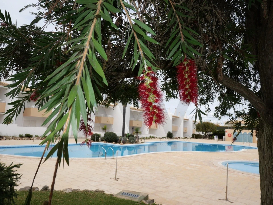 Apartamento T1 para Venda em Guia Foto 33