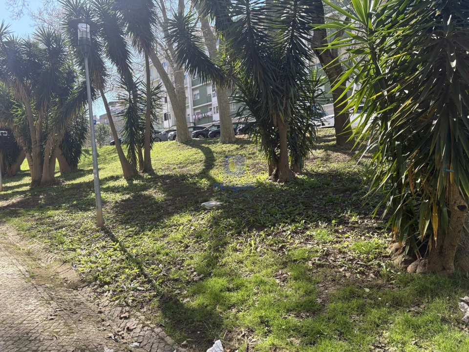 Apartamento T2 para Venda em Benfica Foto 22