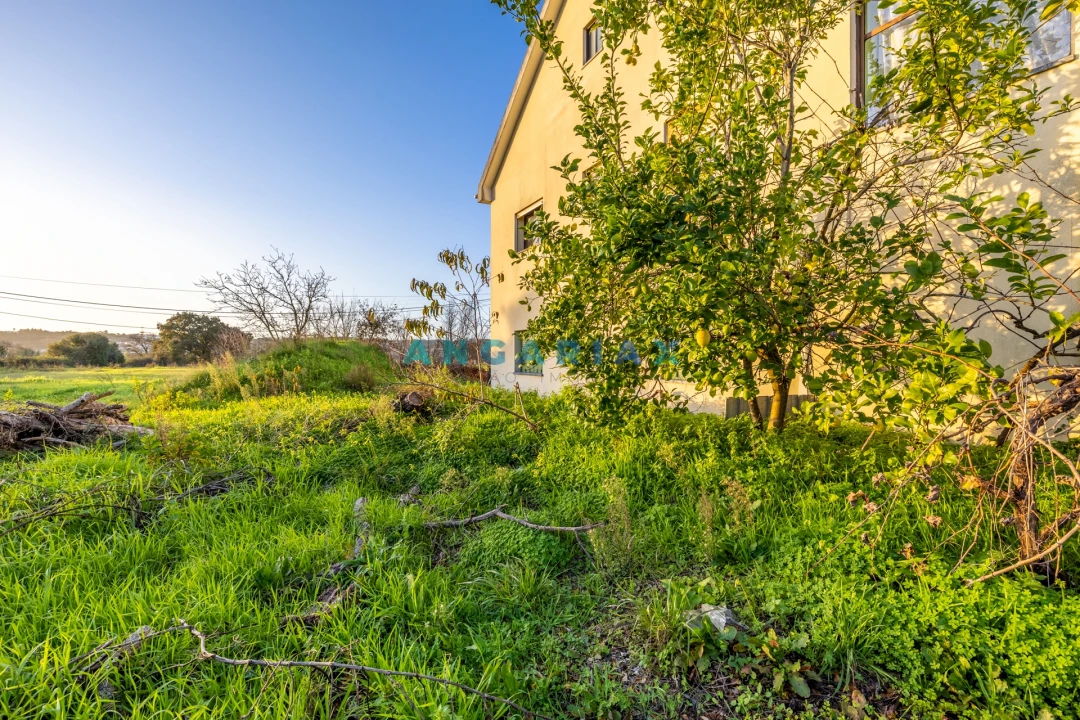 Moradia T3 para Venda em Marrazes e Barosa Foto 33