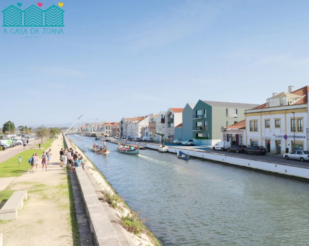 Apartamento T1 para Venda em Glória e Vera Cruz Foto 11