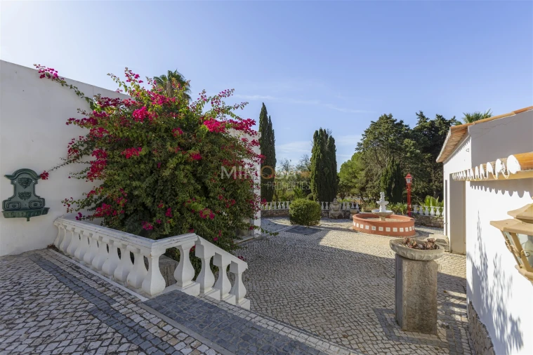 Quinta T14 para Venda em Odiaxere Foto 15