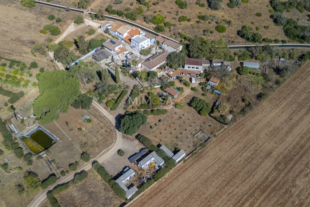 Quinta T14 para Venda em Odiaxere Foto 24