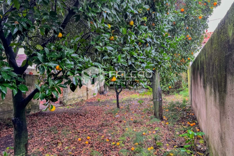 Moradia T3 para Venda em Almeirim Foto 20