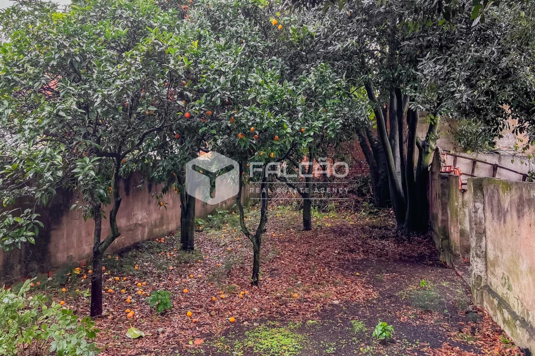 Moradia T3 para Venda em Almeirim Foto 13