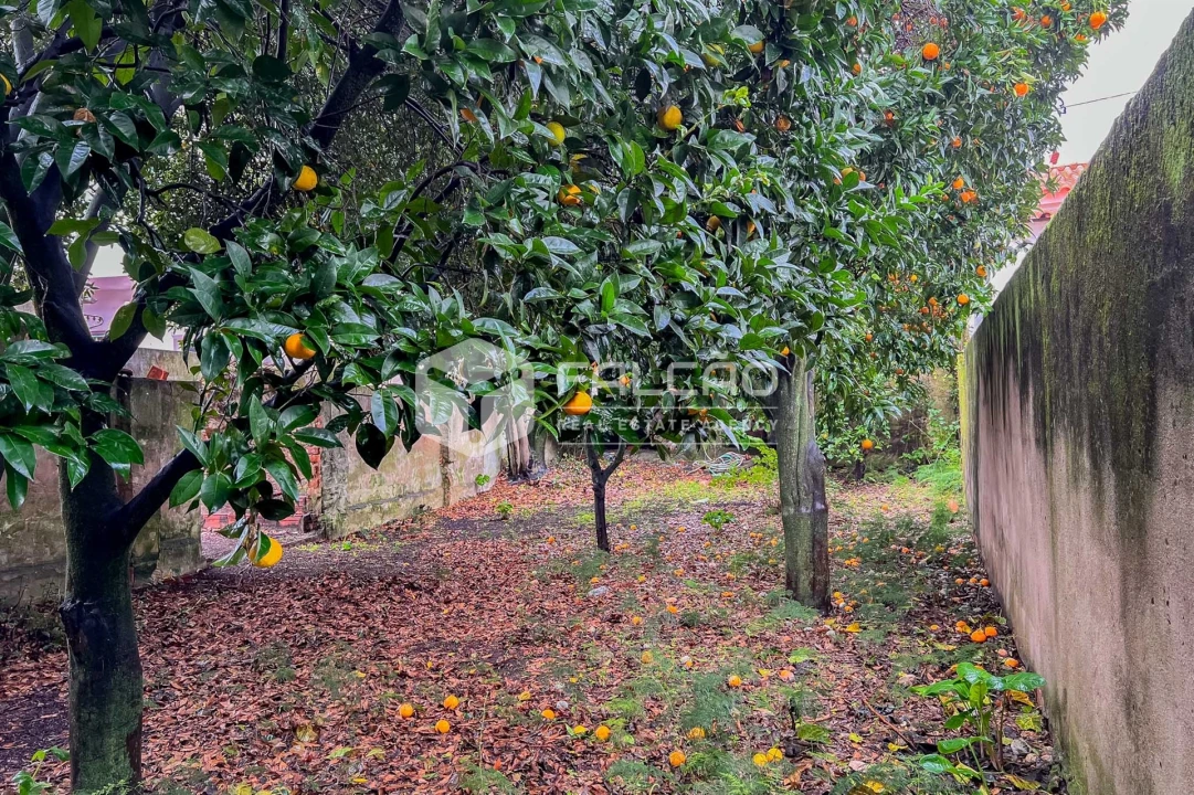 Moradia T3 para Venda em Almeirim Foto 20