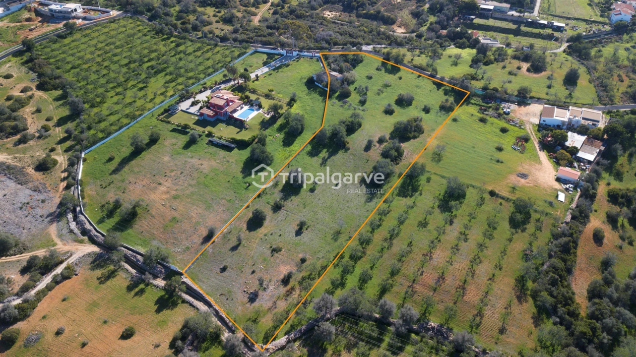 Terreno Misto para Venda em Guia Foto 11