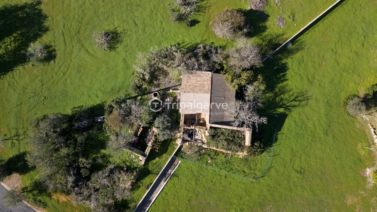 Terreno Misto para Venda em Guia Foto 9