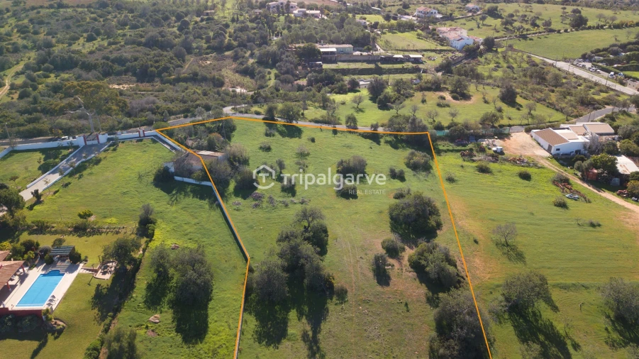 Terreno Misto para Venda em Guia Foto 10