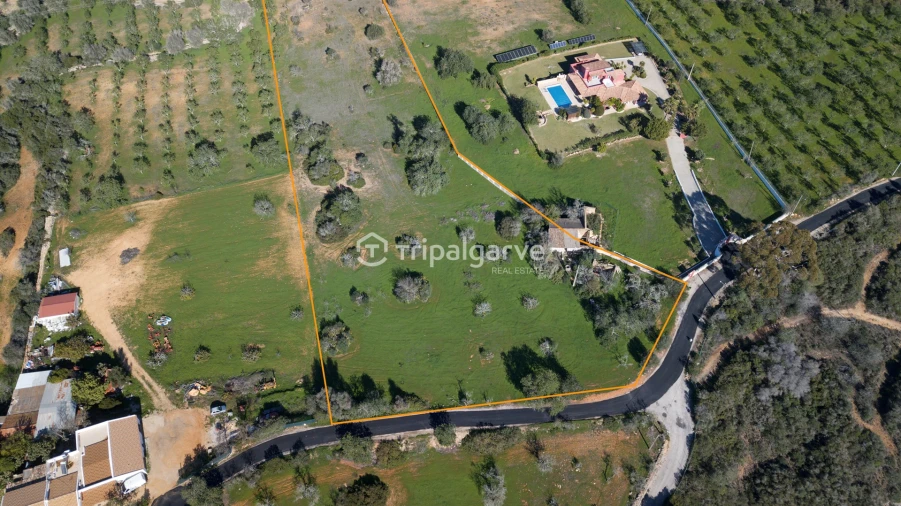 Terreno Misto para Venda em Guia Foto 5