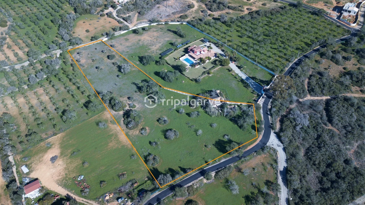 Terreno Misto para Venda em Guia Foto 3