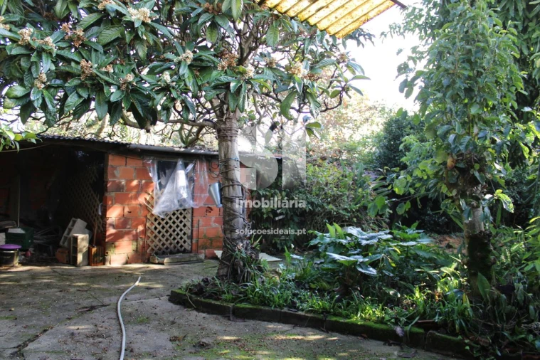 Moradia T3 para Venda em São Lourenço do Bairro Foto 7