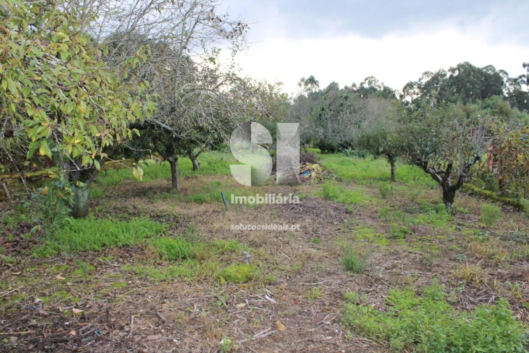 Moradia T3 para Venda em São Lourenço do Bairro Foto 29