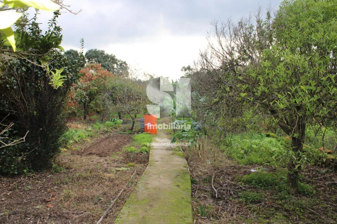 Moradia T3 para Venda em São Lourenço do Bairro Foto 28