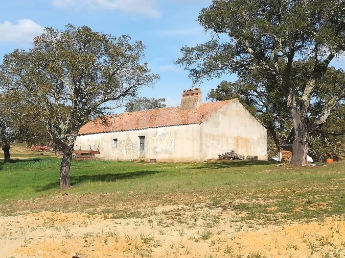 Terreno para Venda em Santiago do Cacém, Santa Cruz e São Bartolomeu da Serra Foto 6