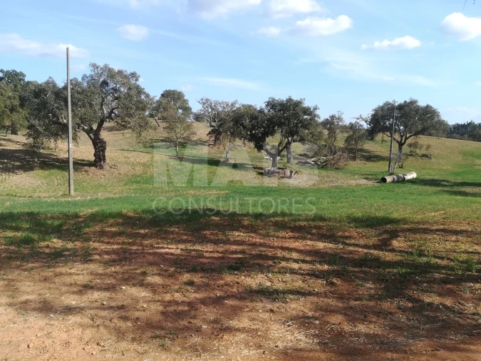 Terreno para Venda em Santiago do Cacém, Santa Cruz e São Bartolomeu da Serra Foto 3