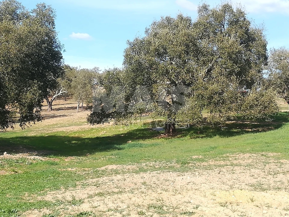 Terreno para Venda em Santiago do Cacém, Santa Cruz e São Bartolomeu da Serra Foto 4
