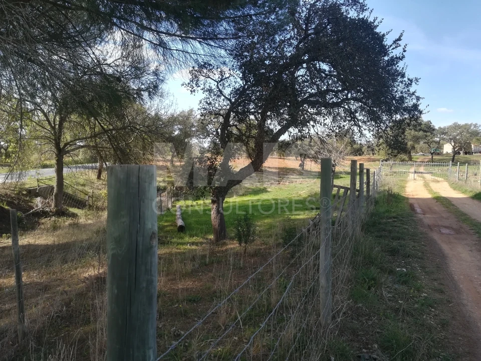 Terreno para Venda em Santiago do Cacém, Santa Cruz e São Bartolomeu da Serra Foto 10
