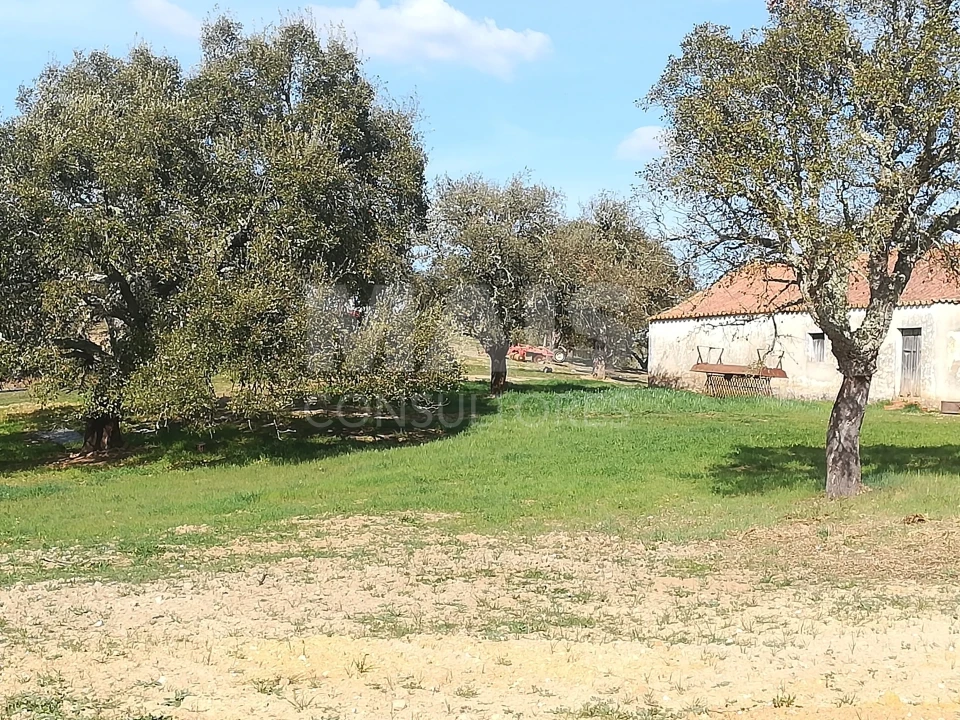 Terreno para Venda em Santiago do Cacém, Santa Cruz e São Bartolomeu da Serra Foto 2